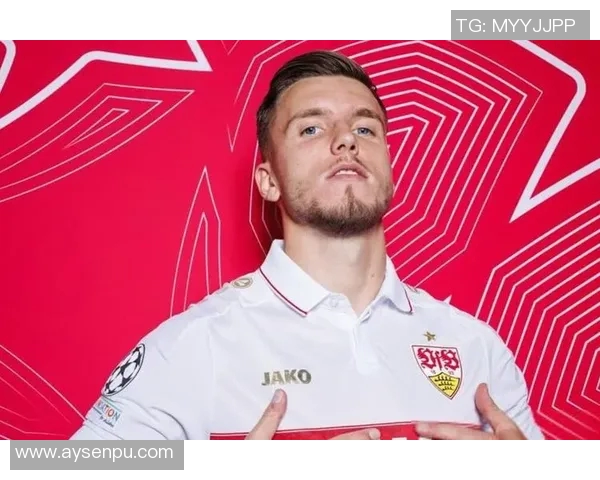 波黑足球明星的崛起与辉煌成就探秘