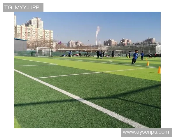 全场奔跑的足球明星们如何在绿茵场上展现无与伦比的速度与激情